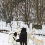 Letti Boomer Nikki und Big